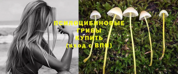 твердый Нея